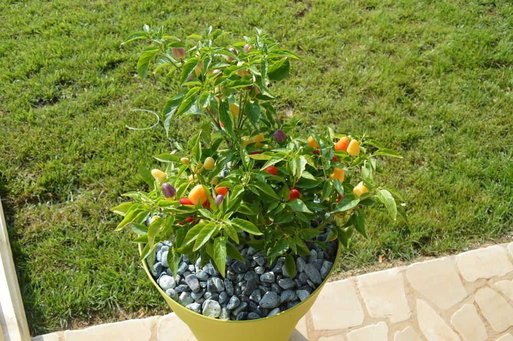 Casa Del Peperoncino * Otranto