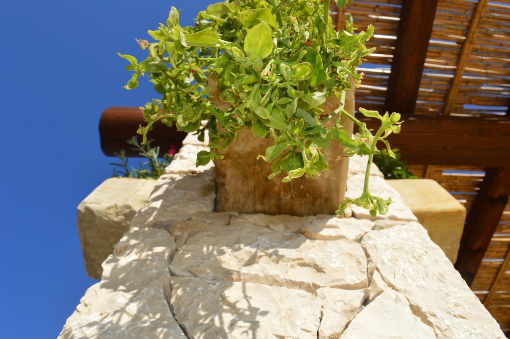 Casa Del Peperoncino Farm stay